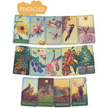 Load image into Gallery viewer, Pacific Northwest Tarot Deck by Brendan Marnell Pentacles