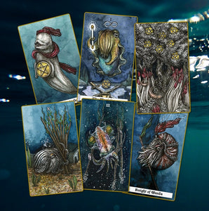 Mockups for the page of pentacles (beluga whale), The Magician (cuttlefish), Seven of pentacles (deep sea vents with tube worms), Ten of wands (pajama striped squid), Three of wands (bioluminescent squid), Knight of wands (nautilus)